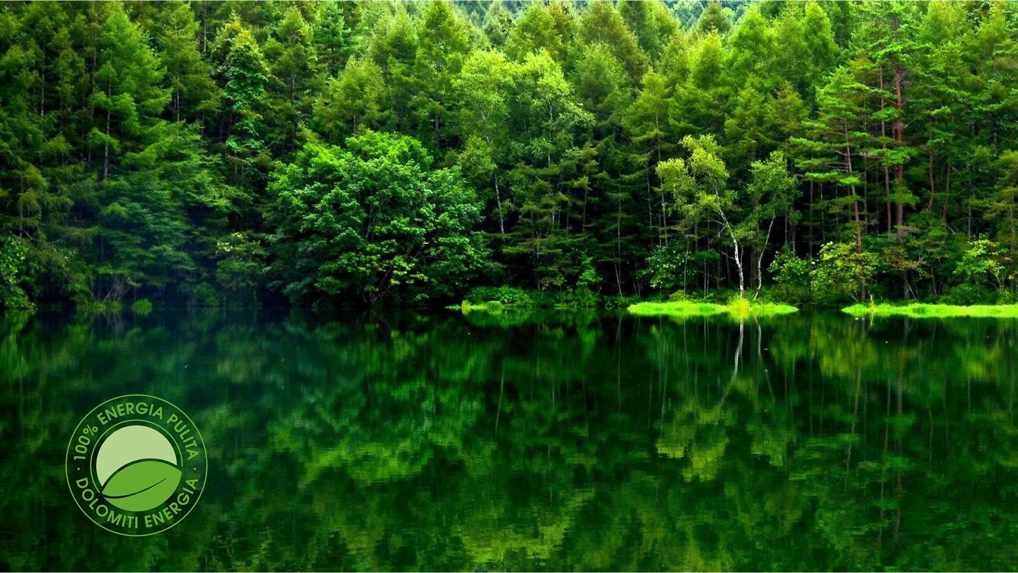 Sostenibilità ambientale
